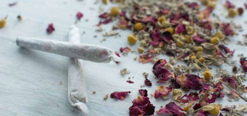 Herbal Smoking – Enjoy a Healthy Life While Puffing the Herbal Smoke