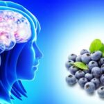 Health Benefits of Blueberries