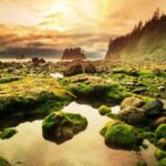 Olympic National Park, USA – For Your Thrilling Experience, Camping & Maintaining