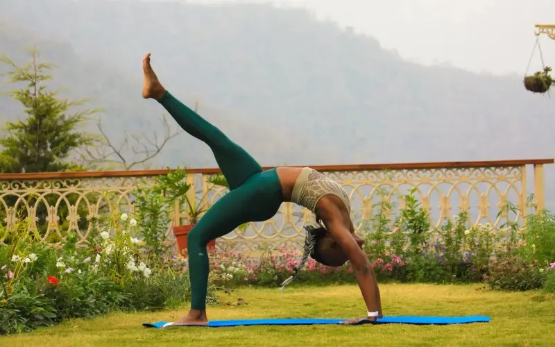 Exploring the Graceful Poses of Vinyasa Yoga, Embracing Strength and Flow